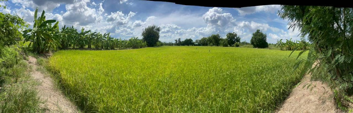 รูป 92541 - ขาย ที่ดินเปล่า ต.หนองเพรางาย อ.ไทรน้อย จ.นนทบุรี - รูปที่ 2/10