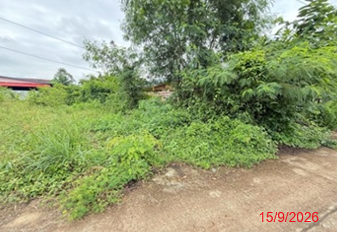 รูป ที่ดินว่างเปล่า 210.4 ตร.วา หนองไผ่ เพชรบูรณ์ 632,000 - รูปที่ 10/25