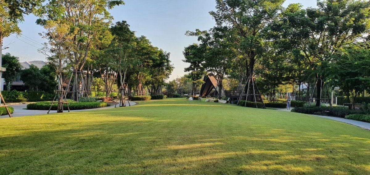รูป 🏡 บ้านเดี่ยวให้เช่า บุราสิริ พัฒนาการ 4 ห้องนอน 5 ห้องน้ำ ติดสวน + Clubhouse | ใกล้โรงเรียนนานาชาติและสนามบินสุวรรณภูมิ 🐶 Pet Friendl - รูปที่ 13/15