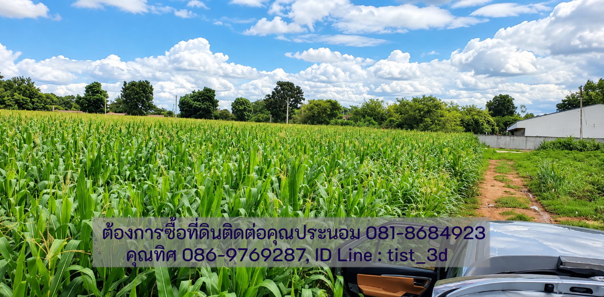 รูป ขายที่ดินแปลงใหญ่ ปากช่อง ติดถนนมิตรภาพ โฉนดที่ดิน ครุตแดง (น.ส.4.จ)  53 ไร่ 1 งาน 73.8 ตารางวา - รูปที่ 17/17