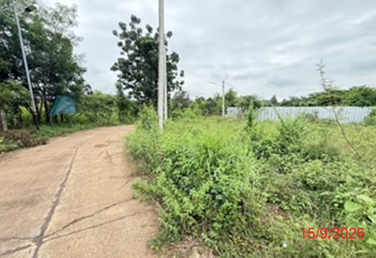 รูป ที่ดินว่างเปล่า 210.4 ตร.วา หนองไผ่ เพชรบูรณ์ 632,000 - รูปที่ 21/25