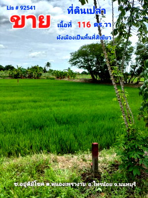 ที่ดิน ไทรน้อย นนทบุรี : 92541 - ขาย ที่ดินเปล่า ต.หนองเพรางาย อ.ไทรน้อย จ.นนทบุรี