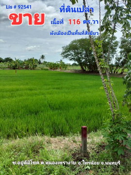 92541 - ขาย ที่ดินเปล่า ต.หนองเพรางาย อ.ไทรน้อย จ.นนทบุรี