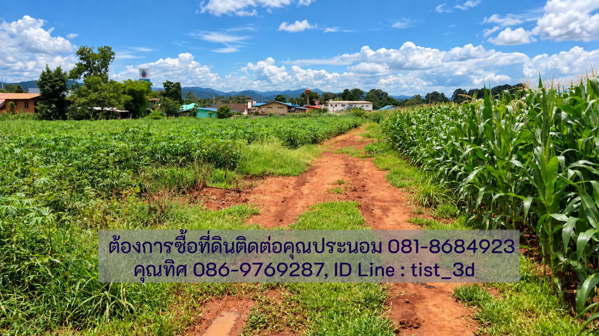 รูป ขายที่ดินแปลงใหญ่ ปากช่อง ติดถนนมิตรภาพ โฉนดที่ดิน ครุตแดง (น.ส.4.จ)  53 ไร่ 1 งาน 73.8 ตารางวา - รูปที่ 10/17