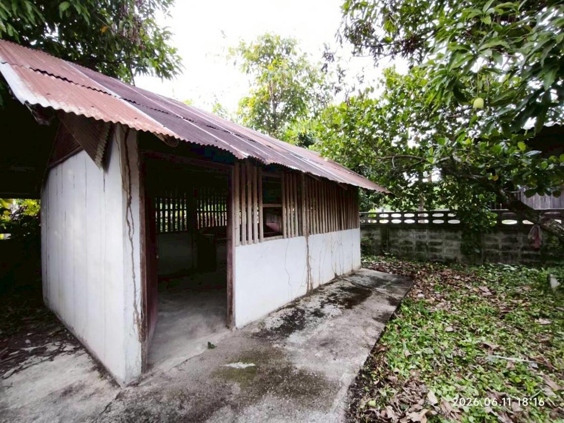 รูป บ้านเดี่ยว 182 ตร.วา พญาเม็งราย เชียงราย 1.6M - รูปที่ 44/51