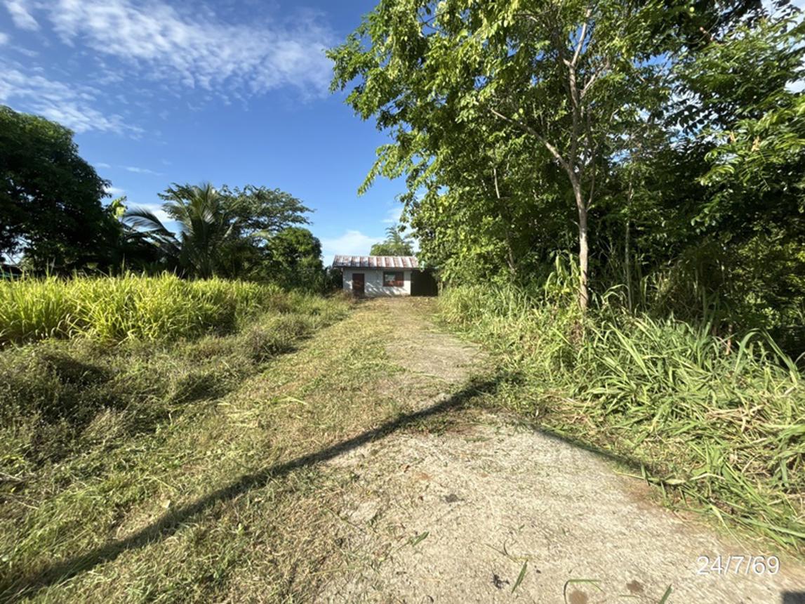 picture HOME 200 Sq.w. Pak Thong Chai Nakhon Ratchasima for 1.1M - 21/25