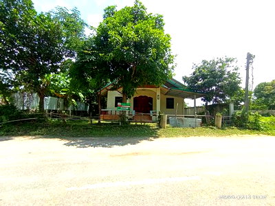 Houses for sale : HOME 109 Sq.w. Huai Mek Kalasin for 1.6M