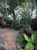 listing thumbnail image 33