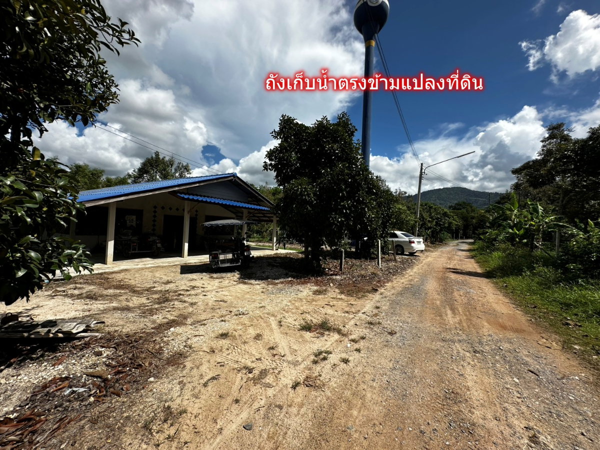 รูป ขายที่ดินวาละ 2,505 บาท สูงกว่าถนนไม่ต้องถม 1-0-67 ไร่ ติดสถานปฏิบัติธรรมหลวงปู่ขี้เถ้า บ้านแลง ระยอง - รูปที่ 5/12