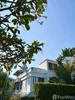 listing thumbnail image 15