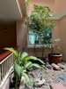 listing thumbnail image 11