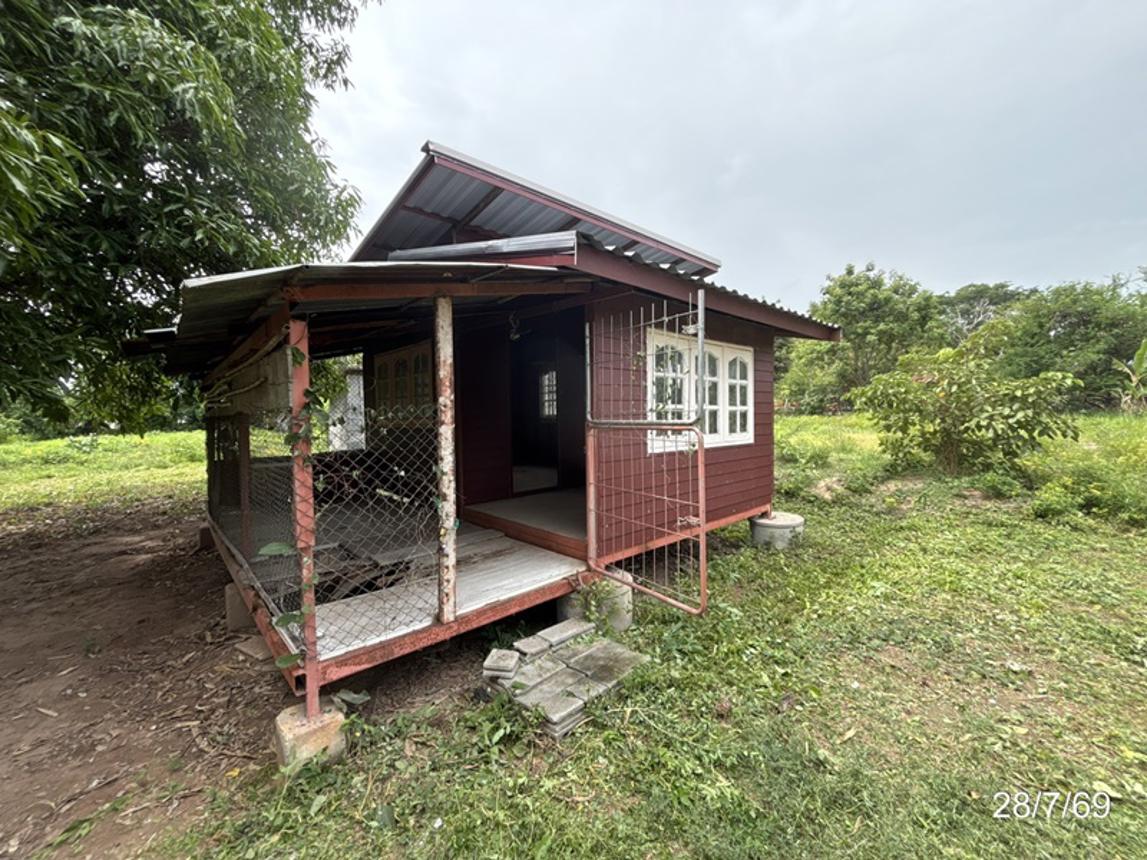 รูป บ้านเดี่ยว 100 ตร.วา ประทาย นครราชสีมา 340,000 - รูปที่ 11/19