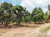listing thumbnail image 10