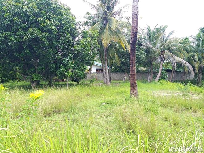 รูป บ้านเดี่ยว 405.1 ตร.วา อรัญประเทศ สระแก้ว 2.9M - รูปที่ 16/37
