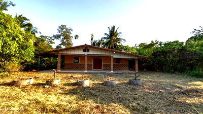 Houses for sale Trang : HOME 1725.2 Sq.w. Muang Trang Trang for 4.4M