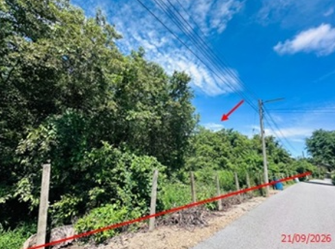 picture LAND 6273 Sq.w. Wiset Chaichan Angthong for 20.4M - 13/17