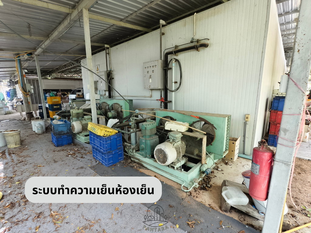 รูป ขายที่ดิน+โรงงานในเขต EEC บ้านฉาง ระยอง ห้องเย็น 50 ตัน รง.4 - รูปที่ 7/12