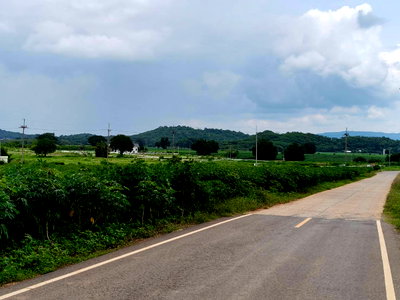 ที่ดิน นครราชสีมา (โคราช) : ขายที่ดินเขาใหญ่ ปากช่อง เส้น2235 หนองช้างตาย วังไทร 4 ไร่ ติดถนนลาดยางทางไป my ozone Movenpick เดินทางสะดวก วิวเขาสวย บรรยากาศดี โล่งลมดี ไม่เปลี่ยว