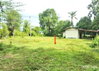 listing thumbnail image 14