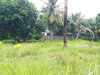 listing thumbnail image 31