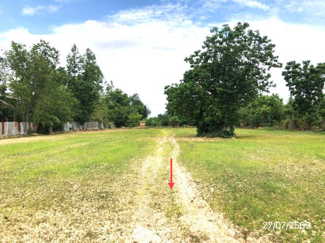 picture LAND 42072 Sq.w. Muang Sukhothai Sukhothai for 17.3M - 5/25