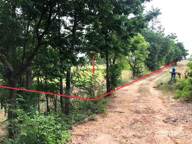 picture LAND 42072 Sq.w. Muang Sukhothai Sukhothai for 17.3M - 7/25