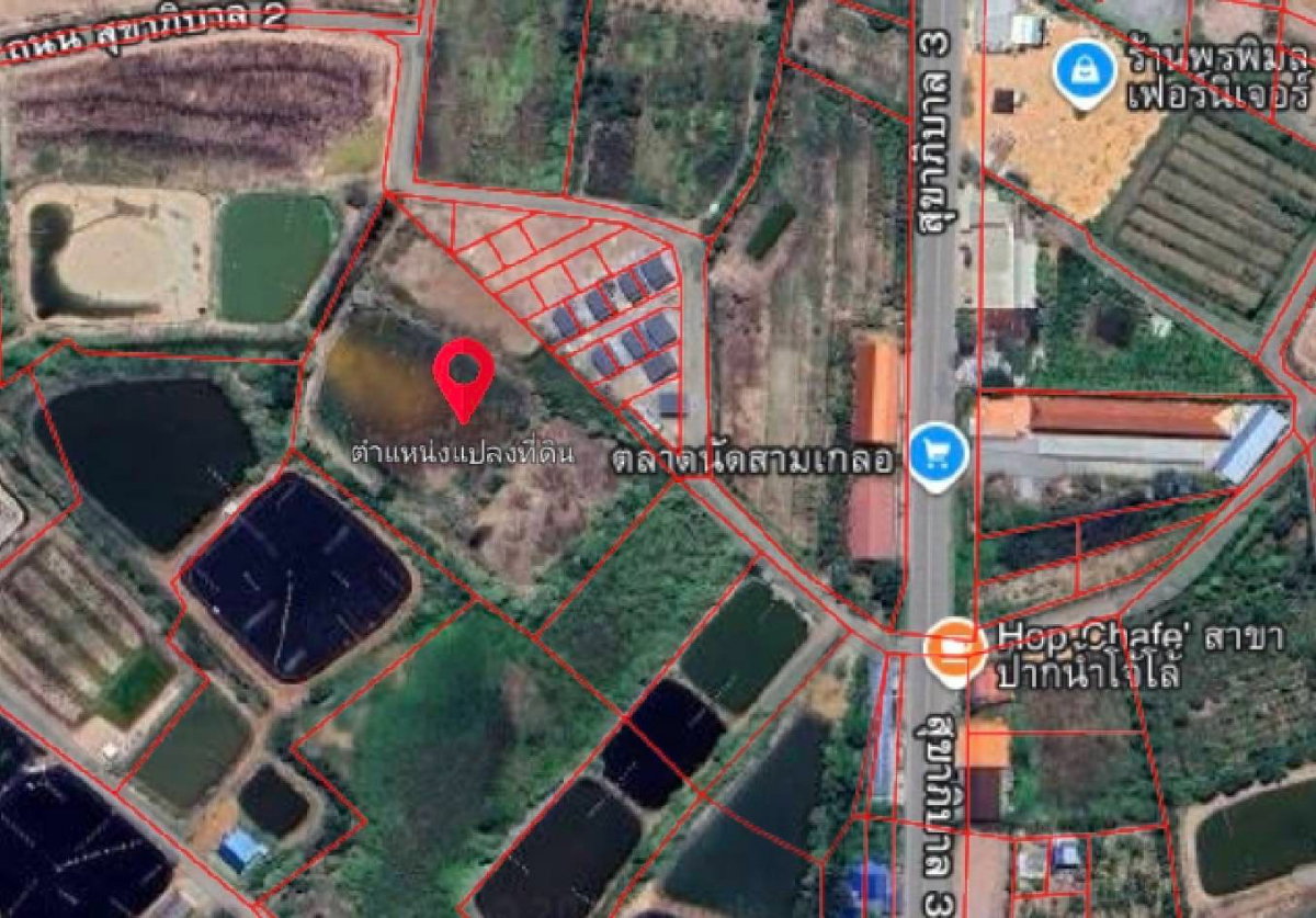 รูป 98681 - ขายที่ดินเปล่า 9 ไร่ 3 งาน 98 ตร.ว. อ.บางคล้า จ.ฉะเชิงเทรา(ต่อรองได้) - รูปที่ 3/7