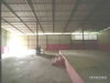 listing thumbnail image 14