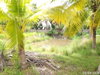 listing thumbnail image 16
