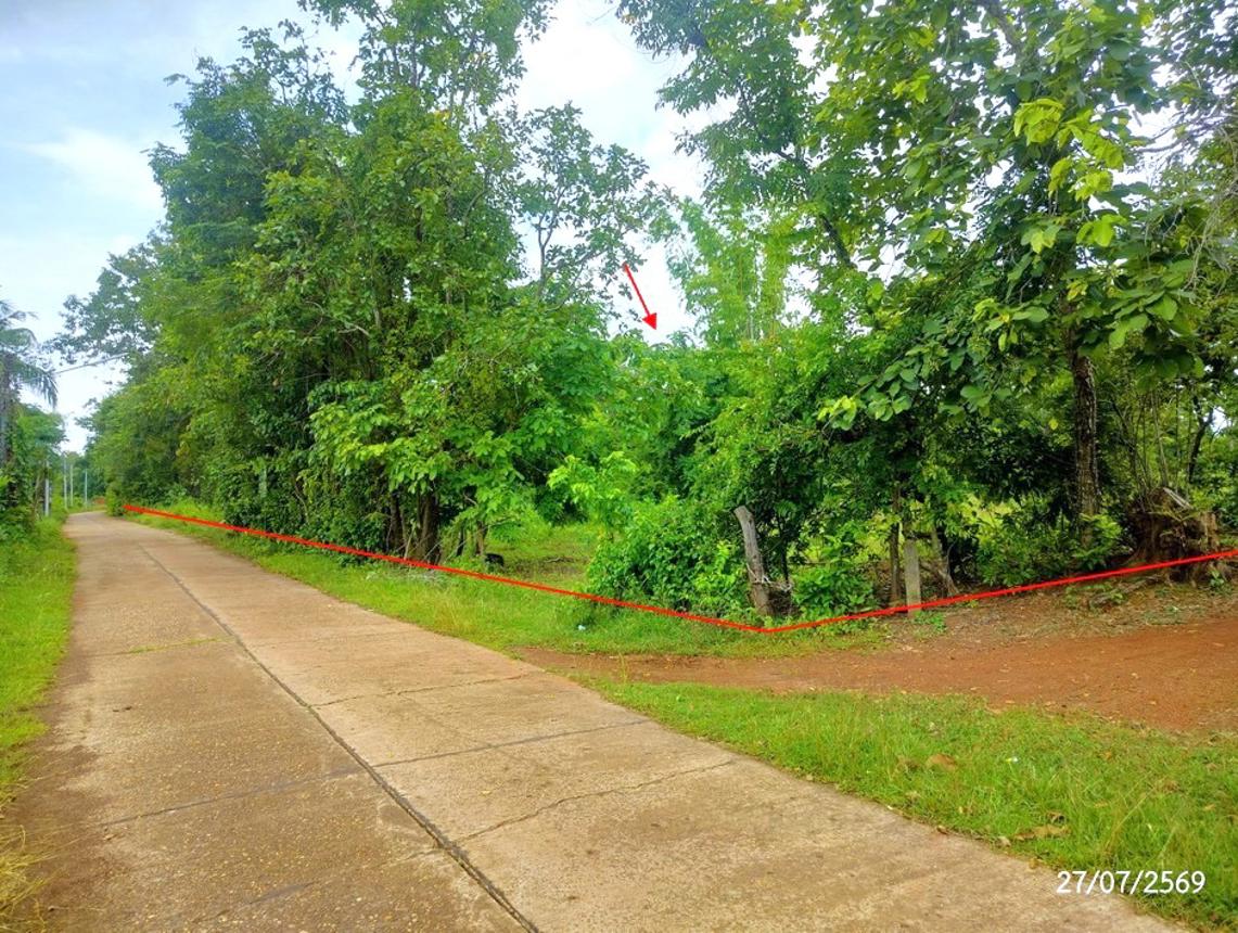 รูป ที่ดินว่างเปล่า 1828 ตร.วา โพนนาแก้ว สกลนคร 2.9M - รูปที่ 9/17