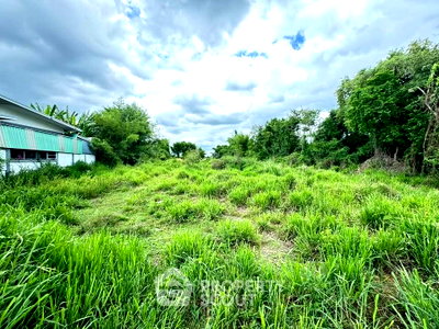 Land for sale San Pa Tong Chiang Mai : 3,636 m² Land for Sale in Yu Wa (ID 3354402)