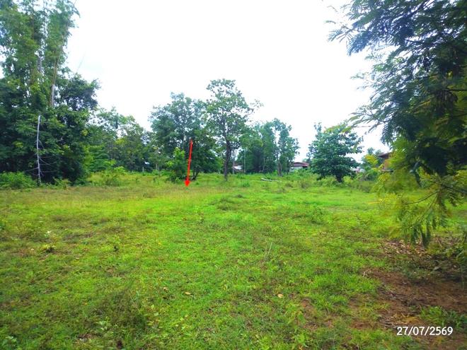รูป ที่ดินว่างเปล่า 1828 ตร.วา โพนนาแก้ว สกลนคร 2.9M - รูปที่ 6/17