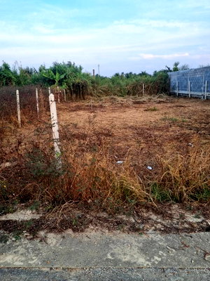 ที่ดิน สามพราน นครปฐม : ขายที่ดินสวย หอมเกร็ด สามพราน นครปฐม แปลงสวย 75.5 ตร.ว. พร้อมสร้างบ้าน ราคาเพียง 9.8 แสนบาท ฟรีค่าโอน