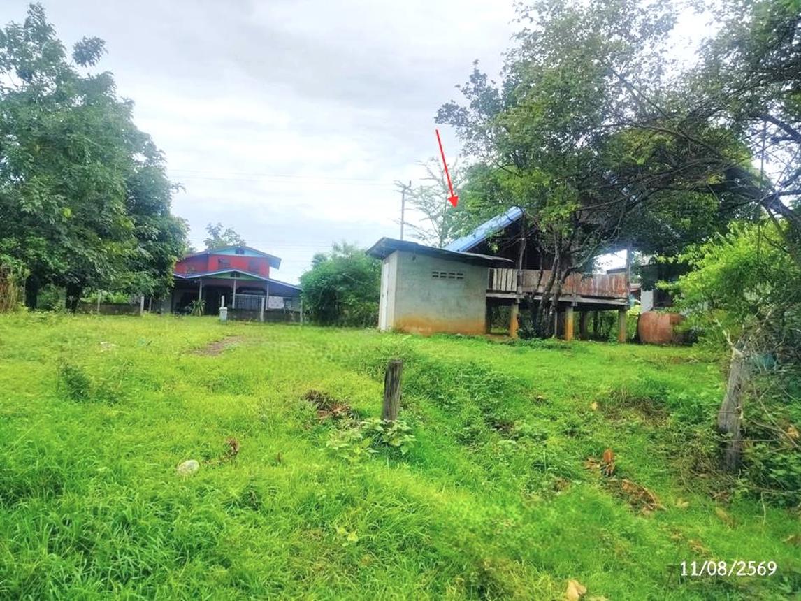 รูป บ้านเดี่ยว 335 ตร.วา โพนนาแก้ว สกลนคร 626,000 - รูปที่ 15/25
