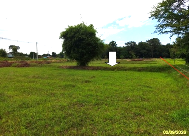 picture LAND 3421 Sq.w. Muang Roi Et Roi Et for 24M - 2/27