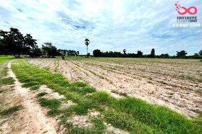 ที่ดิน นครสวรรค์ : ขายที่ดิน 8 ไร่ 337 ตร.ว. ตำบลหนองกระโดน อำเภอเมือง นครสวรรค์ ถนนพหลโยธิน(เลี่ยงเมือง)