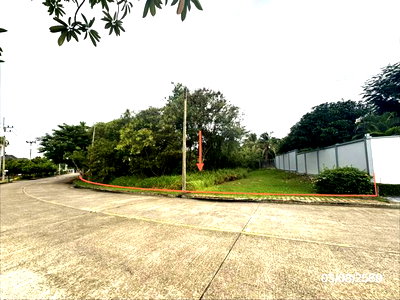 ที่ดิน นครชัยศรี นครปฐม : ที่ดินว่างเปล่า 222 ตร.วา กฤษดา ซิตี้ กอล์ฟ ฮิลล์ โครงการ 26 นครชัยศรี นครปฐม 4.1M