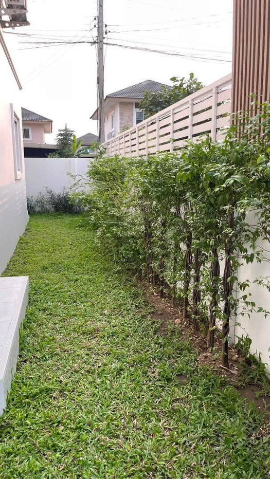 รูป POS บ้านเดี่ยวหลังมุม เลี้ยงสัตว์ได้ ในหมู่บ้านธนกฤษณ์ ท่ารั้ว – สันปูเลย พื้นที่กว้าง เป็นส่วนตัว พร้อมฟังก์ชันครบ (โทร/ไลน์ 088-5986998) - รูปที่ 11/13