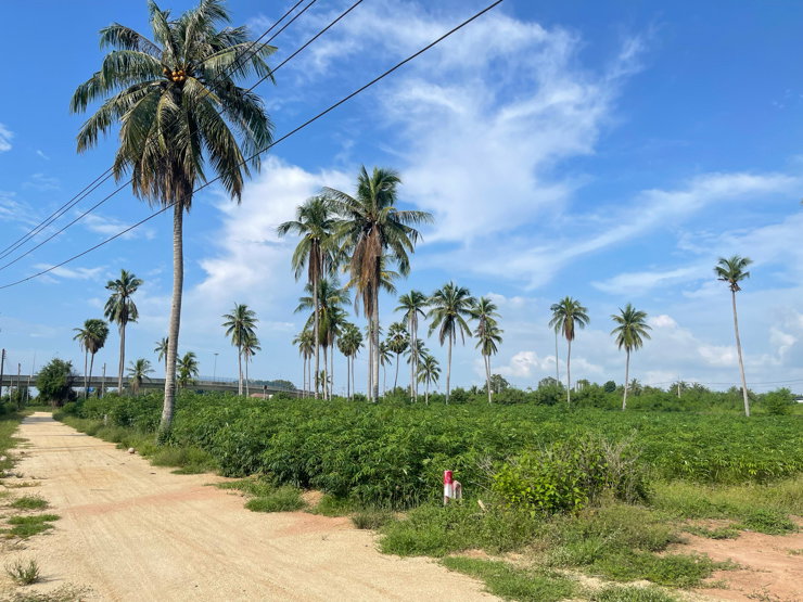 รูป ขายที่ดิน ห้วยใหญ่ชลบุรี ถูกมาก 2.8 ล./ไร่ ใกล้โซน EEC  - รูปที่ 4/7