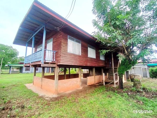 รูป บ้านเดี่ยว 1012 ตร.วา โพนนาแก้ว สกลนคร 5M - รูปที่ 11/53