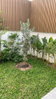 listing thumbnail image 12