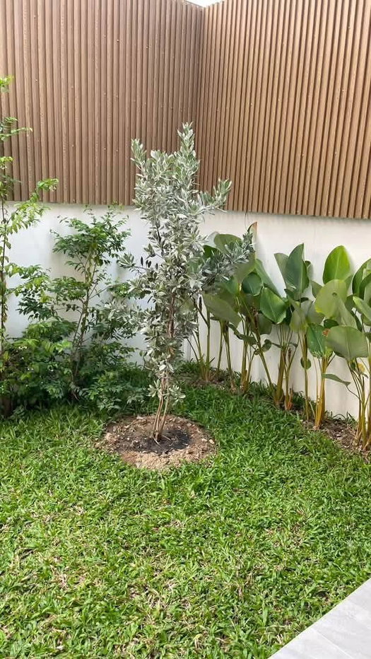 รูป POS บ้านเดี่ยวหลังมุม เลี้ยงสัตว์ได้ ในหมู่บ้านธนกฤษณ์ ท่ารั้ว – สันปูเลย พื้นที่กว้าง เป็นส่วนตัว พร้อมฟังก์ชันครบ (โทร/ไลน์ 088-5986998) - รูปที่ 13/13