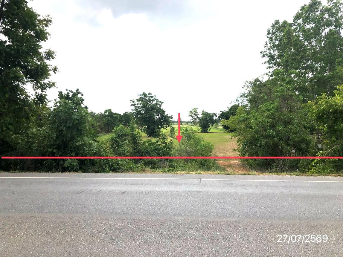 picture LAND 42072 Sq.w. Muang Sukhothai Sukhothai for 17.3M - 12/25