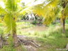 listing thumbnail image 32