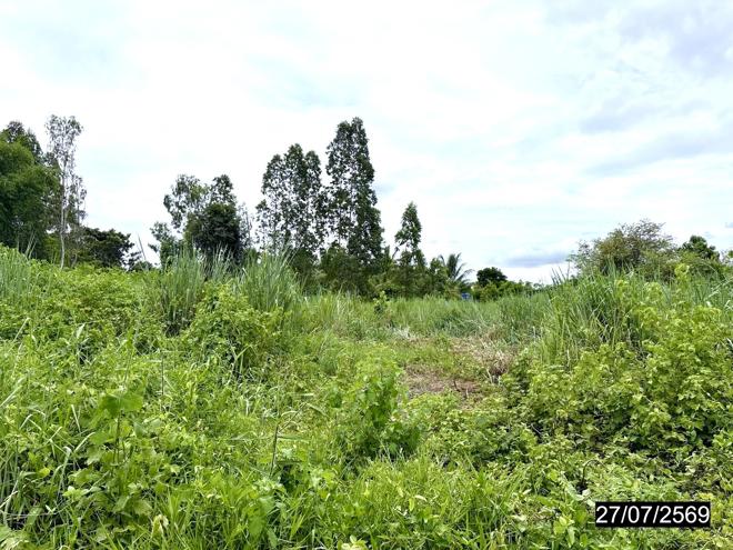 picture LAND 375 Sq.w. Khao Suan Kwang Khon Kaen for 675,000 - 5/13