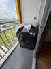 listing thumbnail image 12