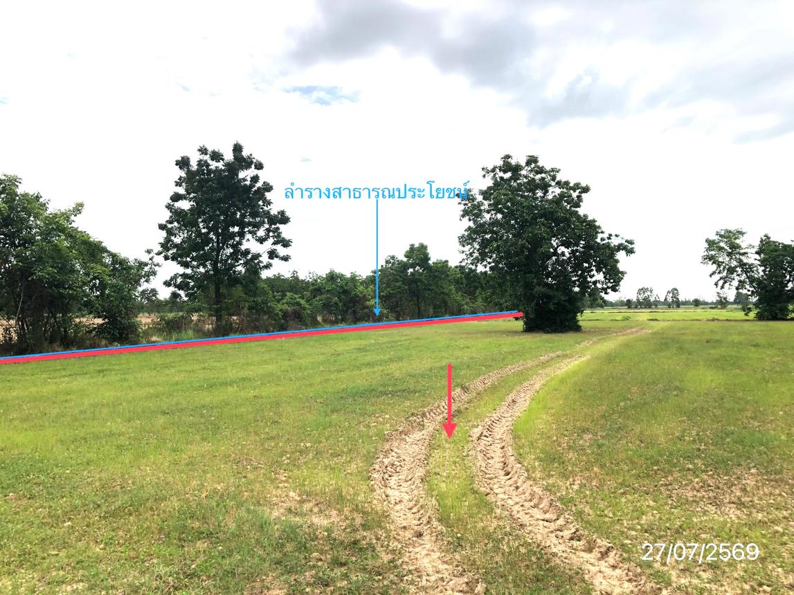 picture LAND 42072 Sq.w. Muang Sukhothai Sukhothai for 17.3M - 14/25
