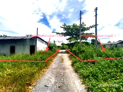 Houses for sale Tamot Phatthalung : HOME 281.9 Sq.w. Tamot Phatthalung for 4.6M