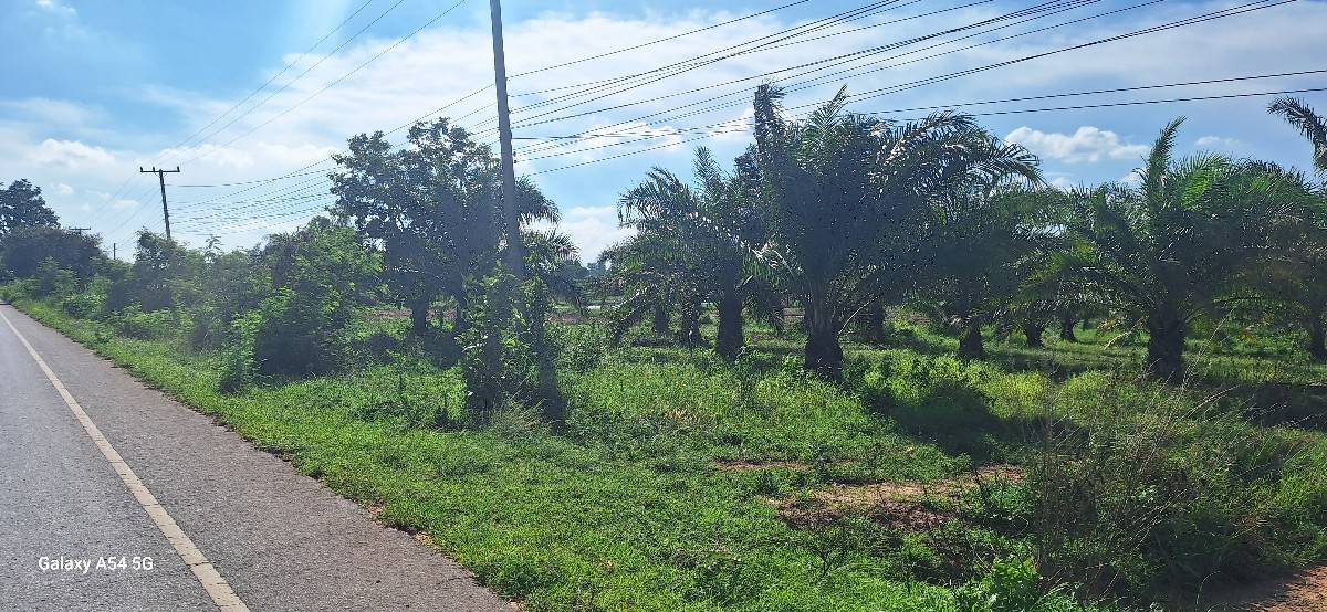 picture Selling land with Nor Sor 3 Kor title deed + vacant land at a cheap price.  - 3/6