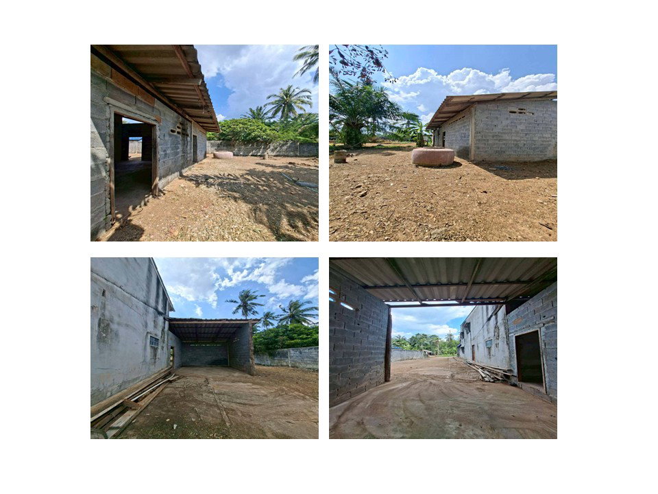 picture LAND 218 Sq.w. Khlong Thom Krabi for 837,000 - 3/7